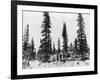 Snow Camping North of the Arctic Circle Photograph - Alaska-Lantern Press-Framed Art Print