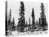 Snow Camping North of the Arctic Circle Photograph - Alaska-Lantern Press-Stretched Canvas