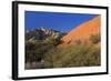 Snow Canyon State Park, St. George, Utah, United States of America, North America-Richard Cummins-Framed Photographic Print