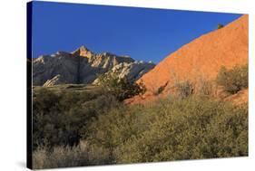 Snow Canyon State Park, St. George, Utah, United States of America, North America-Richard Cummins-Stretched Canvas