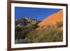 Snow Canyon State Park, St. George, Utah, United States of America, North America-Richard Cummins-Framed Photographic Print