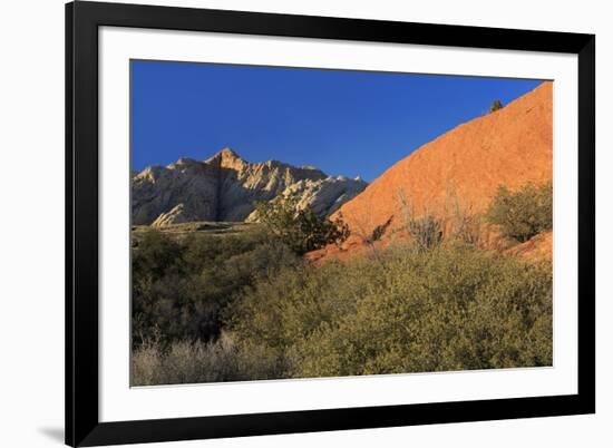 Snow Canyon State Park, St. George, Utah, United States of America, North America-Richard Cummins-Framed Photographic Print