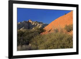 Snow Canyon State Park, St. George, Utah, United States of America, North America-Richard Cummins-Framed Photographic Print