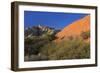 Snow Canyon State Park, St. George, Utah, United States of America, North America-Richard Cummins-Framed Photographic Print