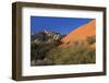 Snow Canyon State Park, St. George, Utah, United States of America, North America-Richard Cummins-Framed Photographic Print