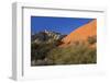 Snow Canyon State Park, St. George, Utah, United States of America, North America-Richard Cummins-Framed Photographic Print