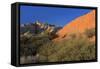 Snow Canyon State Park, St. George, Utah, United States of America, North America-Richard Cummins-Framed Stretched Canvas