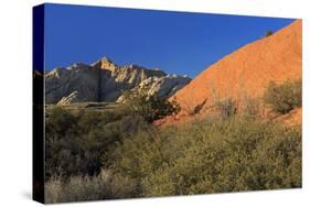 Snow Canyon State Park, St. George, Utah, United States of America, North America-Richard Cummins-Stretched Canvas