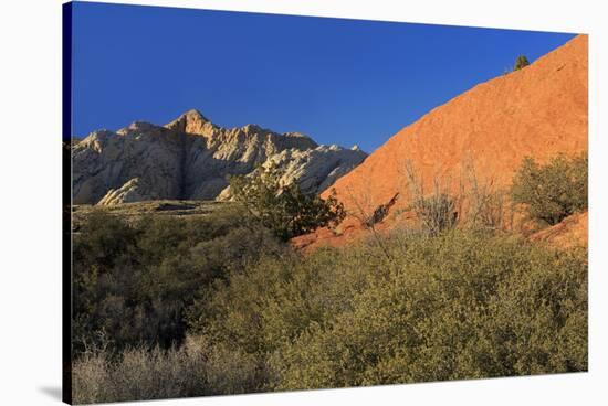 Snow Canyon State Park, St. George, Utah, United States of America, North America-Richard Cummins-Stretched Canvas