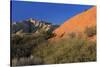 Snow Canyon State Park, St. George, Utah, United States of America, North America-Richard Cummins-Stretched Canvas