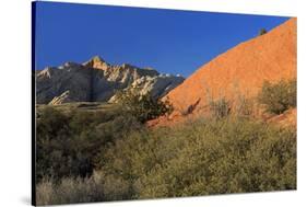 Snow Canyon State Park, St. George, Utah, United States of America, North America-Richard Cummins-Stretched Canvas