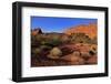 Snow Canyon State Park, St. George, Utah, United States of America, North America-Richard Cummins-Framed Photographic Print