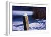 Snow Capped Fence Post Along Pond-Anthony Paladino-Framed Giclee Print