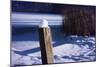 Snow Capped Fence Post Along Pond-Anthony Paladino-Mounted Giclee Print