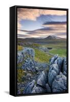 Snow Capped Ingleborough from Limestone Pavements on Twistleton Scar, Yorkshire Dales National Park-Adam Burton-Framed Stretched Canvas