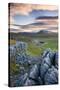 Snow Capped Ingleborough from Limestone Pavements on Twistleton Scar, Yorkshire Dales National Park-Adam Burton-Stretched Canvas