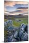 Snow Capped Ingleborough from Limestone Pavements on Twistleton Scar, Yorkshire Dales National Park-Adam Burton-Mounted Premium Photographic Print