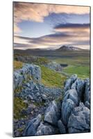 Snow Capped Ingleborough from Limestone Pavements on Twistleton Scar, Yorkshire Dales National Park-Adam Burton-Mounted Photographic Print