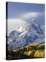 Snow Capped Mountain and Fall Colors, Dallas Divide, Colorado-James Hager-Stretched Canvas