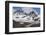 Snow-Capped Peaks Surround St. Andrews Bay, South Georgia, Polar Regions-Michael Nolan-Framed Photographic Print