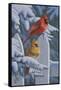 Snow Cardinals-Jeffrey Hoff-Framed Stretched Canvas