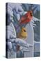 Snow Cardinals-Jeffrey Hoff-Stretched Canvas