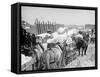 Snow Carts at the River after a Blizzard, New York-null-Framed Stretched Canvas