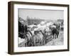 Snow Carts at the River after a Blizzard, New York-null-Framed Photo