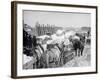 Snow Carts at the River after a Blizzard, New York-null-Framed Photo