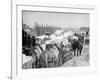 Snow Carts at the River after a Blizzard, New York-null-Framed Photo