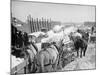 Snow Carts at the River after a Blizzard, New York-null-Mounted Photo