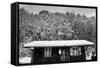 Snow Chalet-Craig Howarth-Framed Stretched Canvas