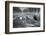 Snow Chasing-Shenshen Dou-Framed Photographic Print