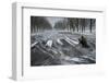 Snow Chasing-Shenshen Dou-Framed Photographic Print