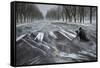 Snow Chasing-Shenshen Dou-Framed Stretched Canvas