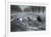 Snow Chasing-Shenshen Dou-Framed Photographic Print