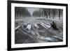 Snow Chasing-Shenshen Dou-Framed Photographic Print