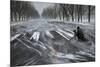 Snow Chasing-Shenshen Dou-Mounted Photographic Print