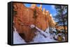 Snow Clearing Equipment at a Tunnel Through Sunlit Red Rock in Winter-Eleanor Scriven-Framed Stretched Canvas
