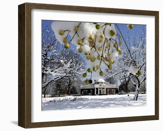 Snow Clings to Branches of a Berry Tree on the South Lawn of Thomas Jefferson's Home-null-Framed Premium Photographic Print