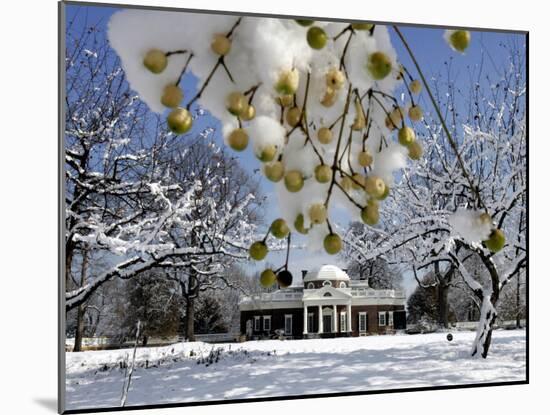 Snow Clings to Branches of a Berry Tree on the South Lawn of Thomas Jefferson's Home-null-Mounted Premium Photographic Print