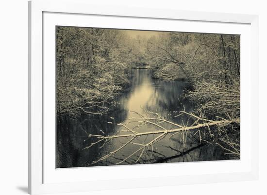 Snow Clings to the Branches of Trees Overhanging a River in Winter's Grip in a New England Woodland-Frances Gallogly-Framed Photographic Print