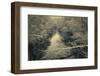 Snow Clings to the Branches of Trees Overhanging a River in Winter's Grip in a New England Woodland-Frances Gallogly-Framed Photographic Print