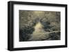 Snow Clings to the Branches of Trees Overhanging a River in Winter's Grip in a New England Woodland-Frances Gallogly-Framed Photographic Print