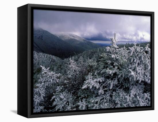 Snow Coats the Boreal Forest on Mt. Lafayette, White Mountains, New Hampshire, USA-Jerry & Marcy Monkman-Framed Stretched Canvas