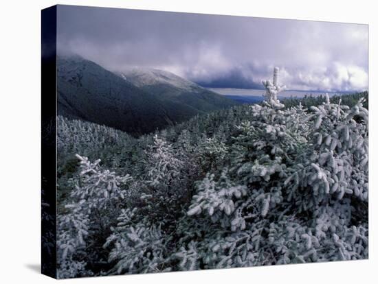 Snow Coats the Boreal Forest on Mt. Lafayette, White Mountains, New Hampshire, USA-Jerry & Marcy Monkman-Stretched Canvas