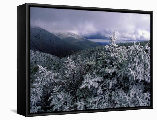 Snow Coats the Boreal Forest on Mt. Lafayette, White Mountains, New Hampshire, USA-Jerry & Marcy Monkman-Framed Stretched Canvas