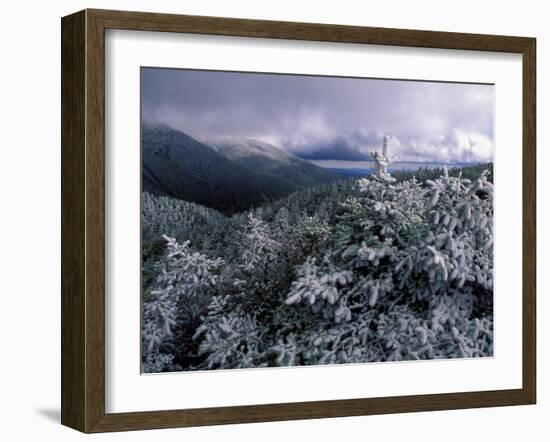Snow Coats the Boreal Forest on Mt. Lafayette, White Mountains, New Hampshire, USA-Jerry & Marcy Monkman-Framed Premium Photographic Print