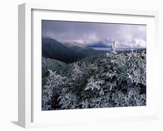 Snow Coats the Boreal Forest on Mt. Lafayette, White Mountains, New Hampshire, USA-Jerry & Marcy Monkman-Framed Premium Photographic Print