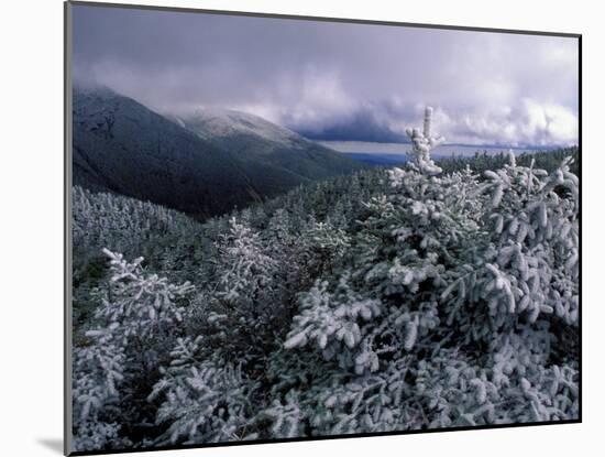 Snow Coats the Boreal Forest on Mt. Lafayette, White Mountains, New Hampshire, USA-Jerry & Marcy Monkman-Mounted Premium Photographic Print